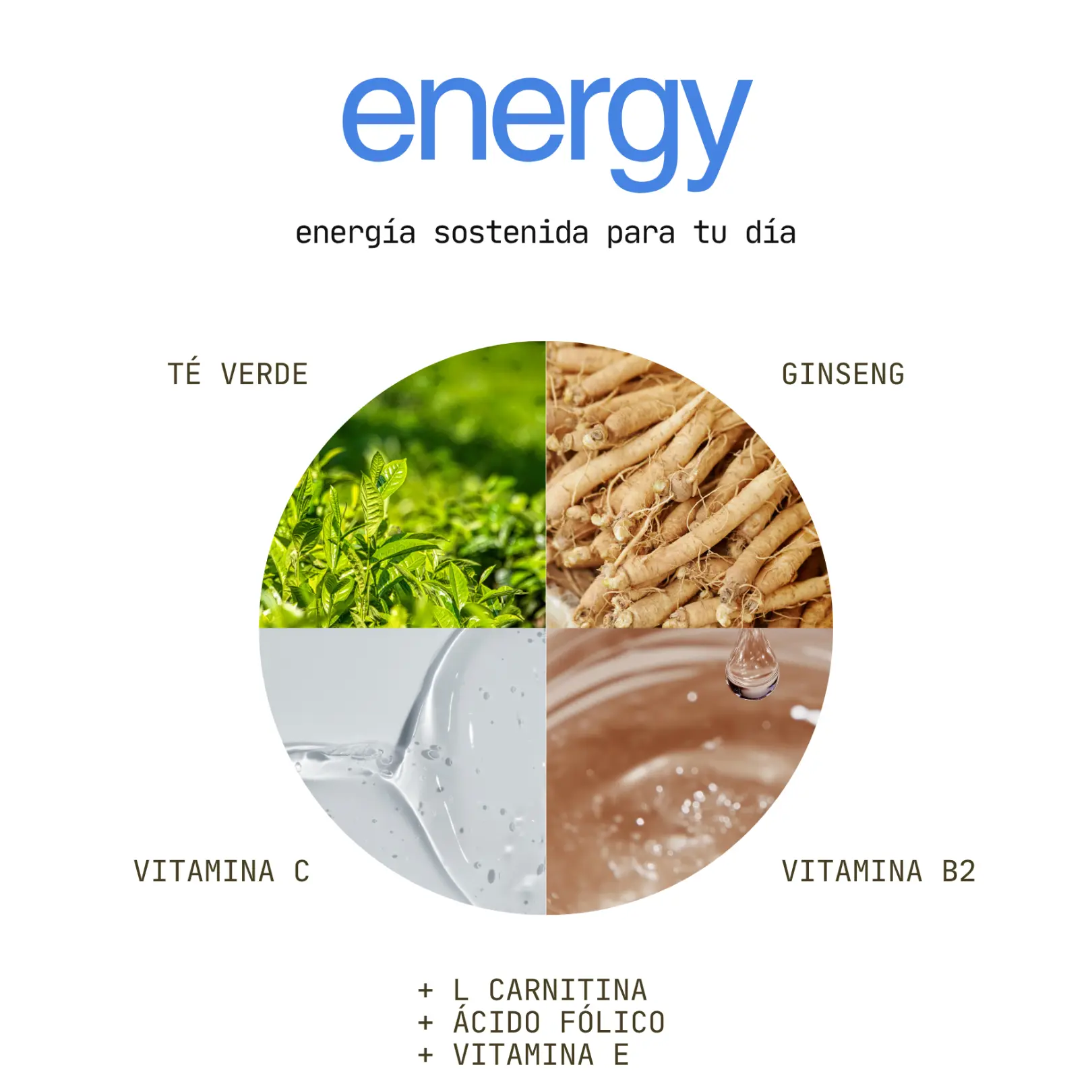 Trío Vitalidad 360° vista 3