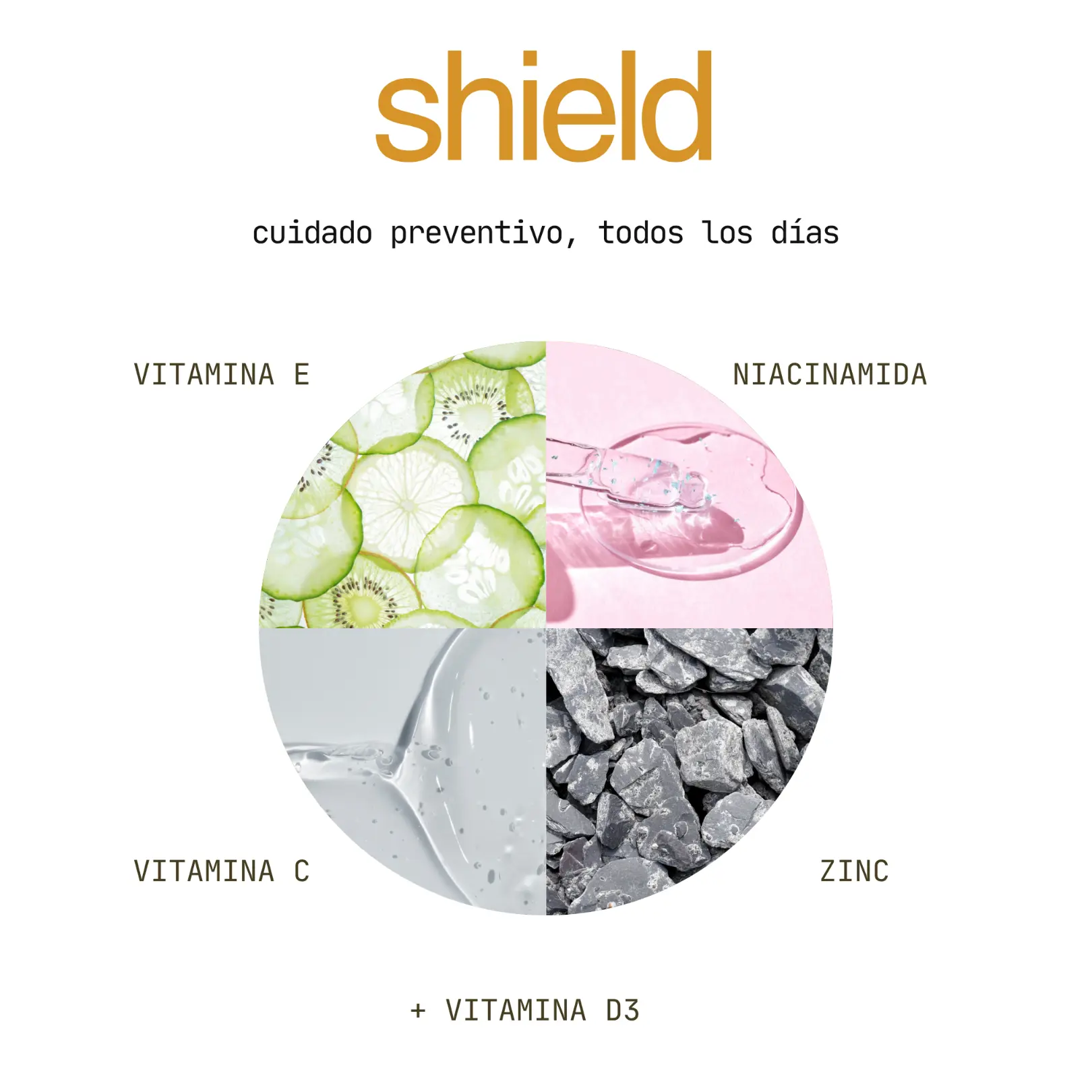 Shield vista 3