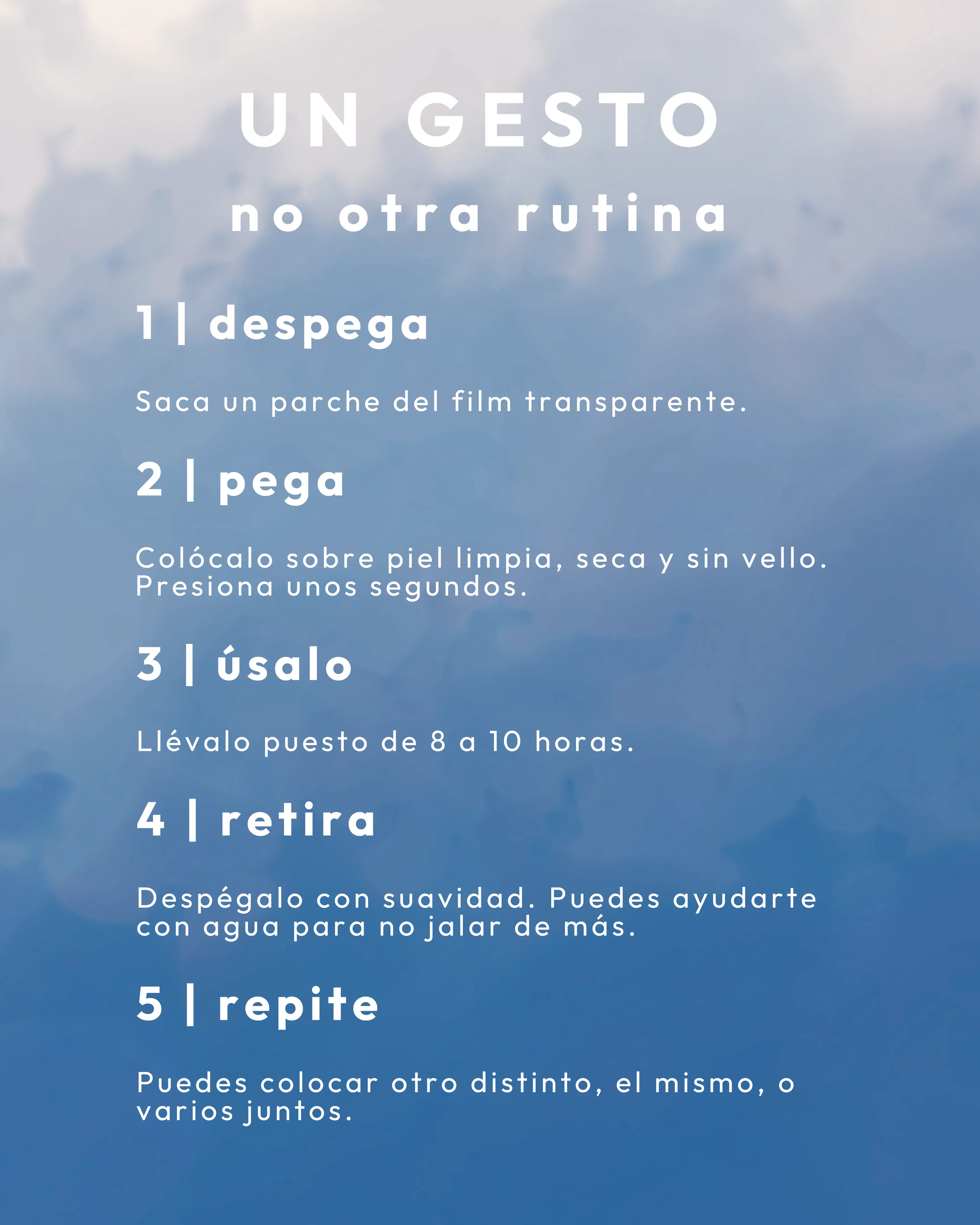 Zen vista 4
